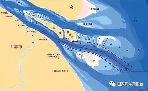 侠客岛:东海撞船泄油很棘手 对海洋生态有这些影响